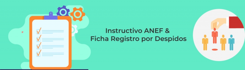 Instructivo ANEF &amp; Ficha Registro por Despidos